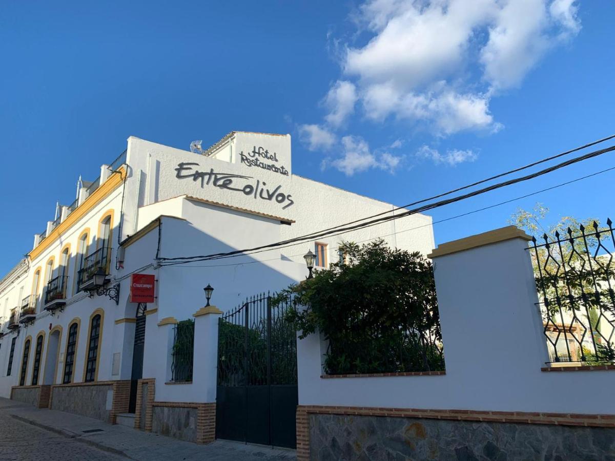 Hotel Entreolivos El Pedroso Exteriér fotografie