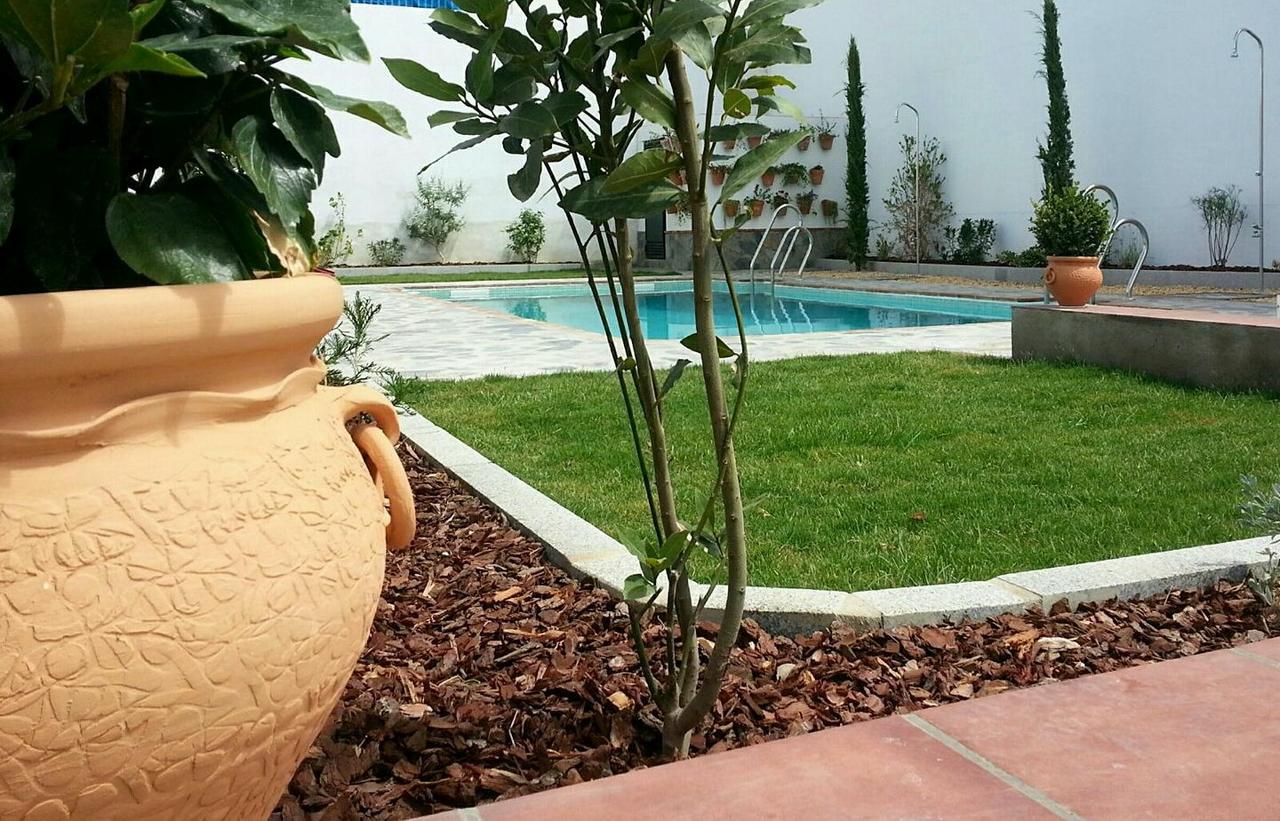 Hotel Entreolivos El Pedroso Exteriér fotografie