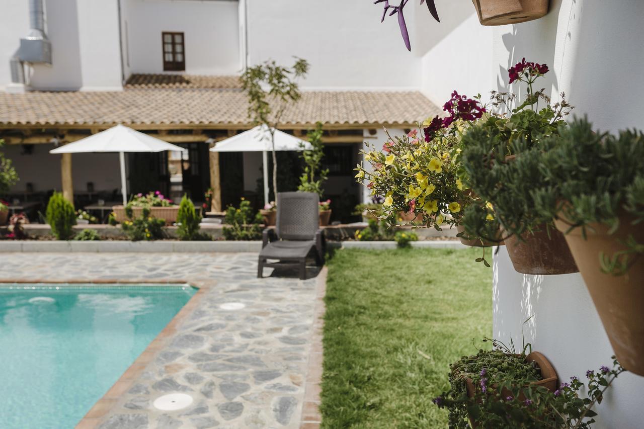 Hotel Entreolivos El Pedroso Exteriér fotografie