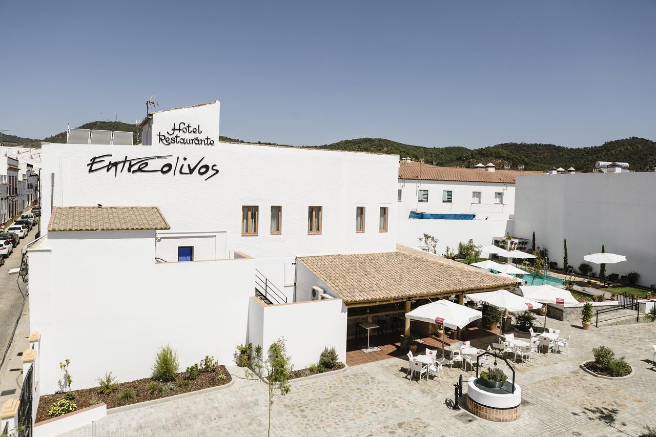 Hotel Entreolivos El Pedroso Exteriér fotografie
